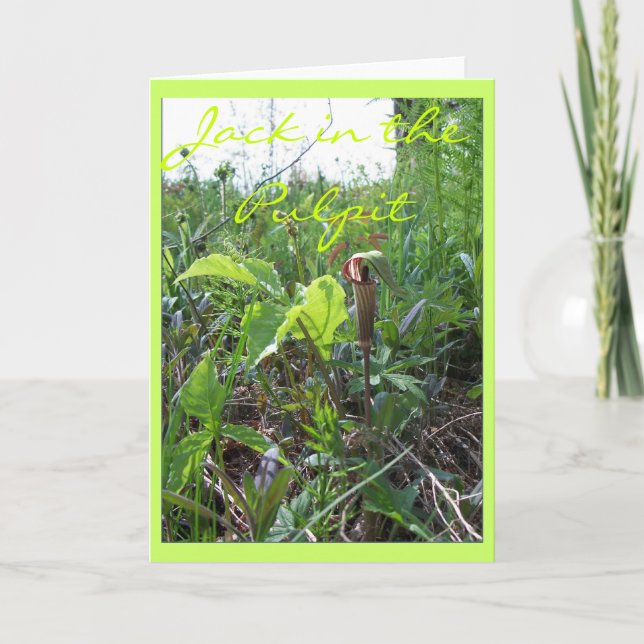 JACK IN THE PULPIT II CARD (Front)