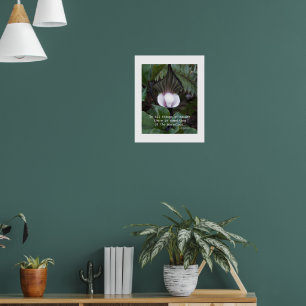 Jack-in-the-Pulpit Plant Aristotle Nature Quote Poster