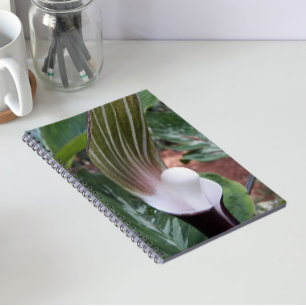 Jack-in-the-Pulpit Plant Floral Spiral Notebook