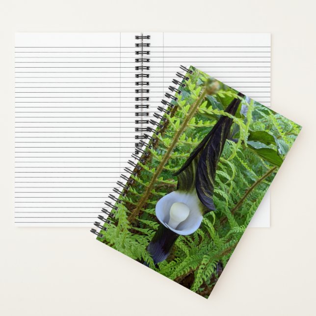 Jack-in-the-Pulpit Woodland Plant Notebook (Inside)