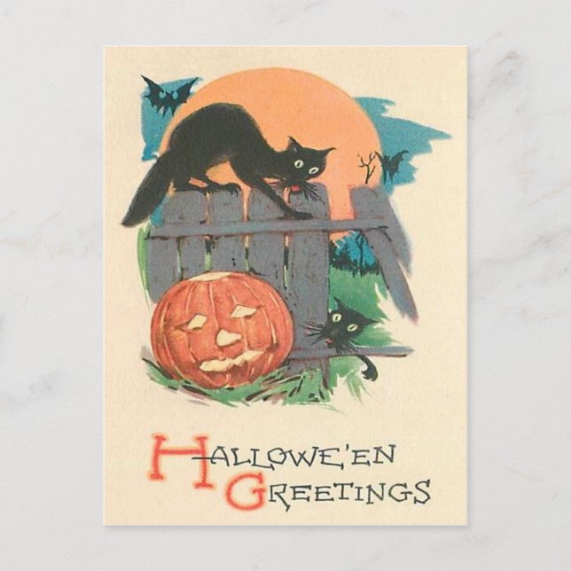 Jack O' Lantern Black Cat Bat Full Moon Postcard (Front)