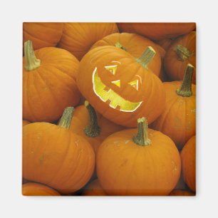 Jack-O-Lantern in a Pumpkin Pile Magnet