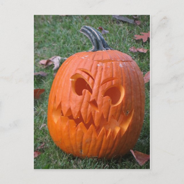 Jack O Lantern Postcard (Front)