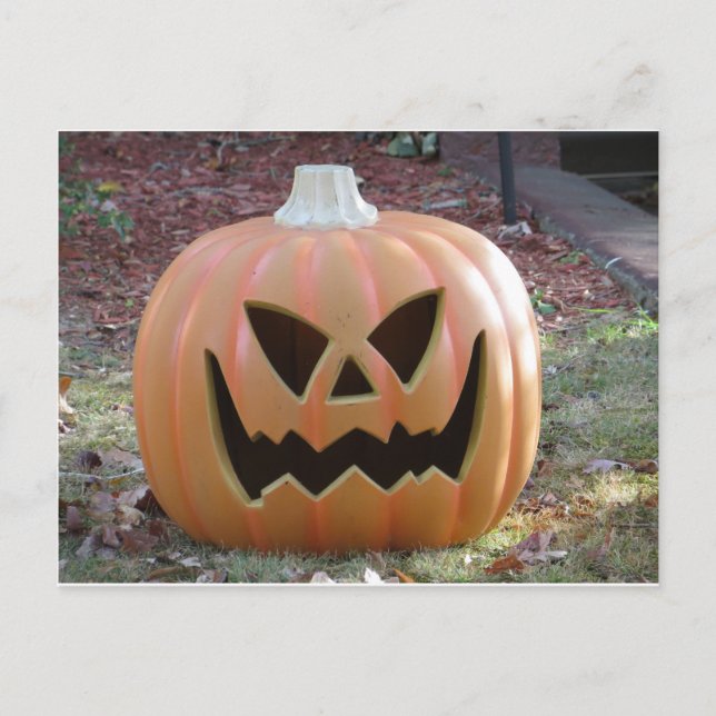 Jack-O-Lantern Postcard (Front)