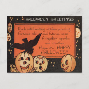 Jack O' Lantern Pumpkin Owl Stars Postcard