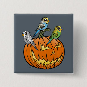 Jack O'Budgies 15 Cm Square Badge