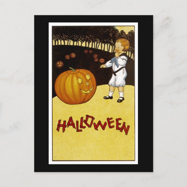 Jack o'Lantern Pumpkin Patch Halloween Postcard (Front)