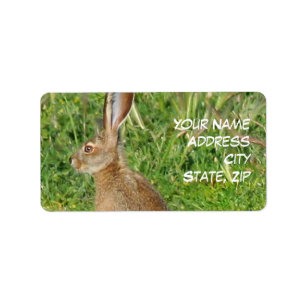 Jack Rabbit Address Labels