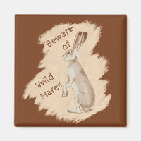 Jack Rabbit and Friends