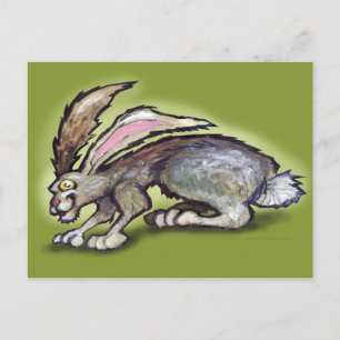 Jack Rabbit Postcard