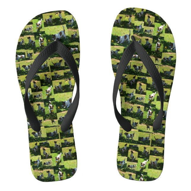 Jack Russel Photo Collage, Jandals (Footbed)