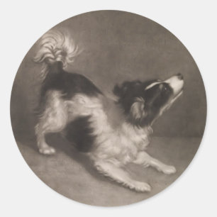 Jack Russel Stickers