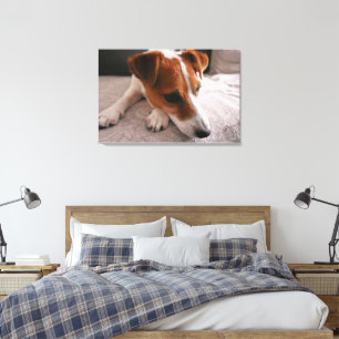 Jack Russel Terier Canvas Print
