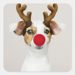 JACK RUSSEL TERRIER AS REINDEER STICKER