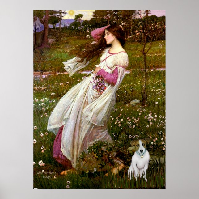 Jack Russell 10 - Windflowers Poster (Front)