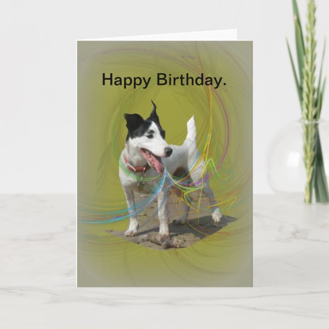 Jack Russell birthday card. Card (Front)