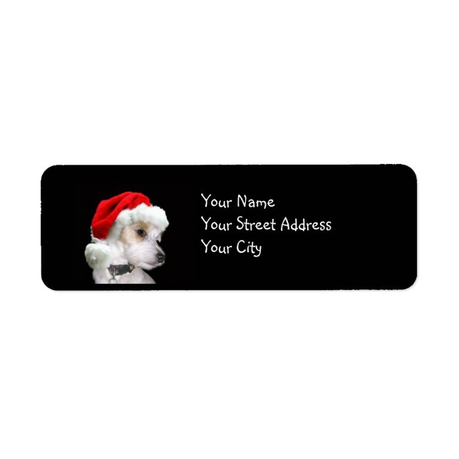 Jack Russell Christmas (Front)