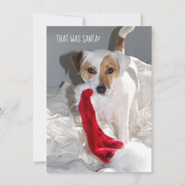 Jack Russell Christmas Card (Front)