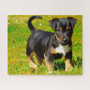 Jack Russell Dog. Jigsaw Puzzle