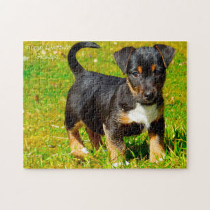 Jack Russell Dog. Jigsaw Puzzle