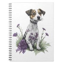 Jack Russell Dog