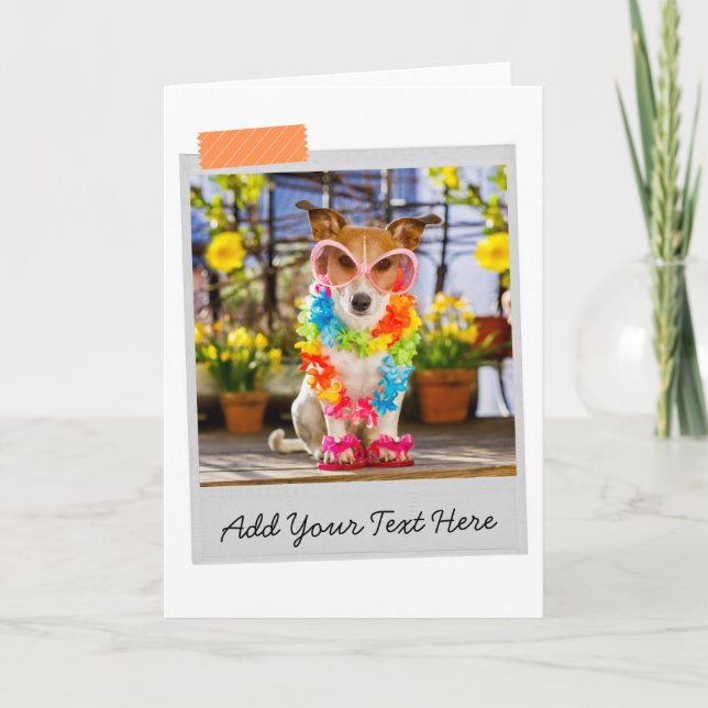 Jack Russell Funny Card (Front)