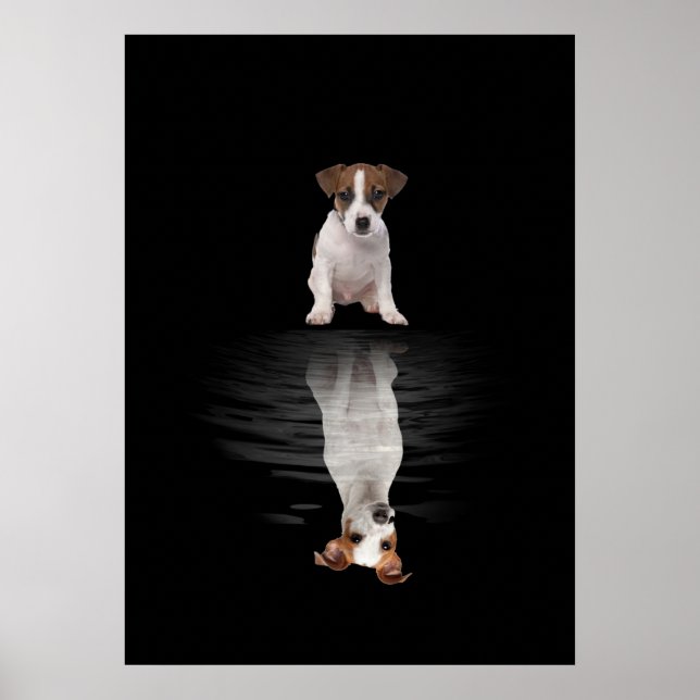 Jack Russell Love Cute Jack Russell Poster (Front)