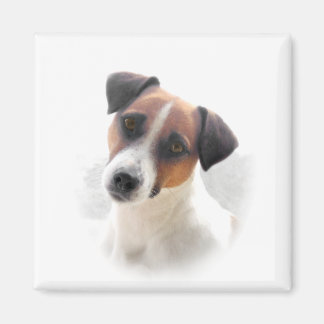 Jack Russell Magnet