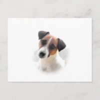 Jack Russell Postcard