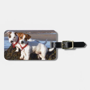Jack Russell Puppies Luggage Tag
