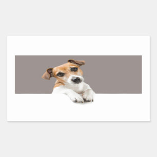 Jack Russell Puppy Dog Cute Adorable Sweet Rectangular Sticker