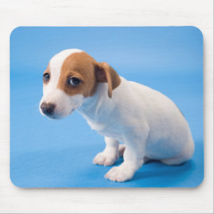 Jack Russell Puppy Mouse Pad