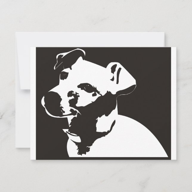 Jack Russell Terrier (Front)