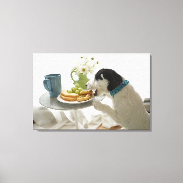 Jack russell terrier. 4 canvas print (Front)