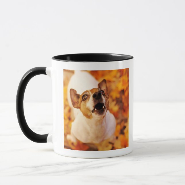 Jack Russell Terrier barking and jumping, Autumn Mug (Left)