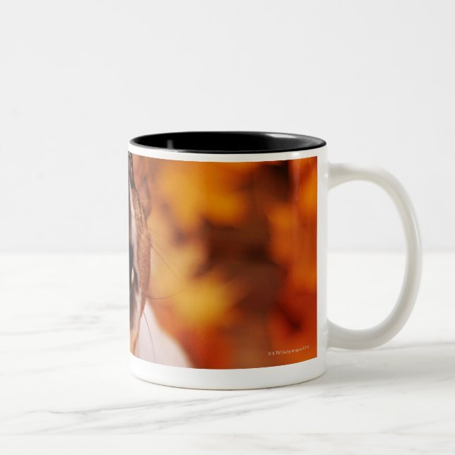 Jack Russell Terrier barking and jumping, Autumn Two-Tone Coffee Mug (Right)