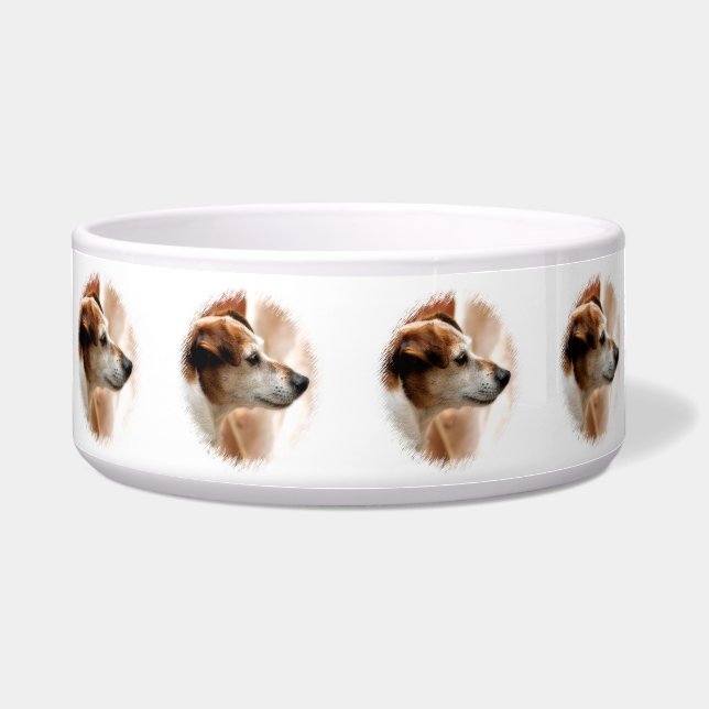 JACK RUSSELL TERRIER DOG (Front)