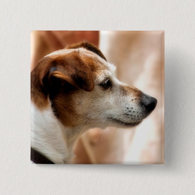 JACK RUSSELL TERRIER DOG 15 CM SQUARE BADGE (Front)