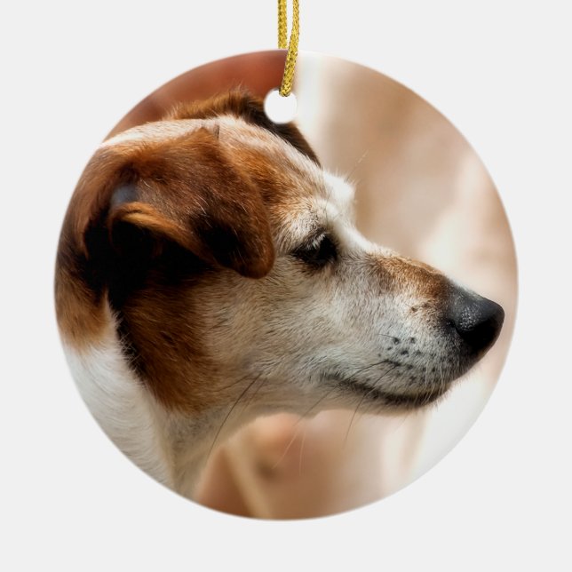 JACK RUSSELL TERRIER DOG CERAMIC TREE DECORATION (Front)