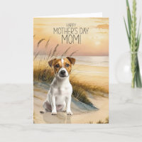 Jack Russell Terrier Dog Sunset Beach Mother's Day