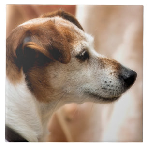 JACK RUSSELL TERRIER DOG TILE