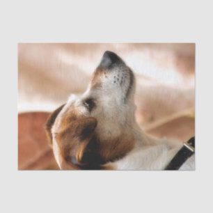 JACK RUSSELL TERRIER DOG TISSUE PAPER