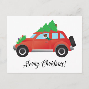Jack Russell Terrier Driving Christmas Car Holiday Postcard