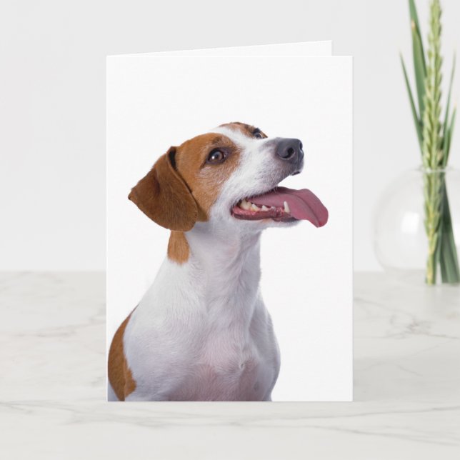 Jack Russell Terrier Friendship Card (Front)