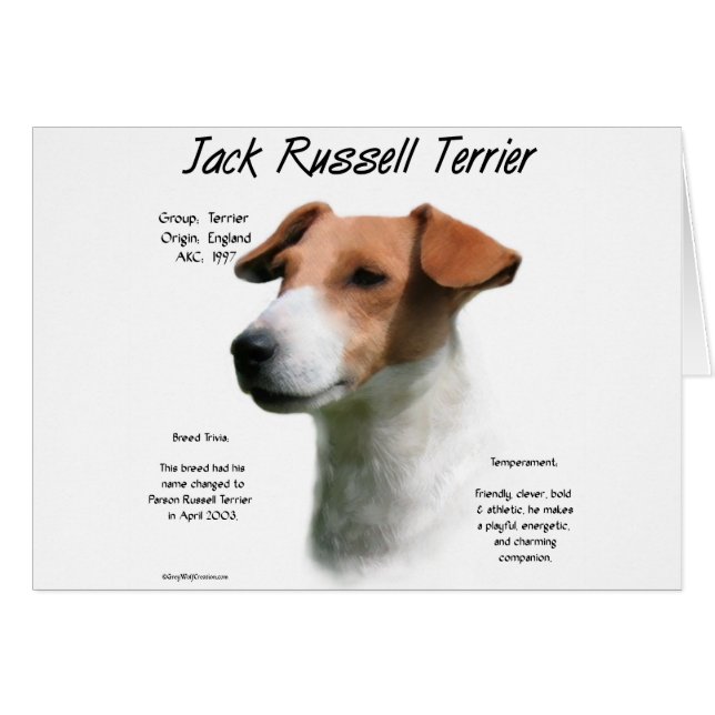 Jack Russell Terrier History  (Front Horizontal)