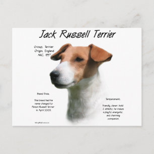 Jack Russell Terrier History  Postcard