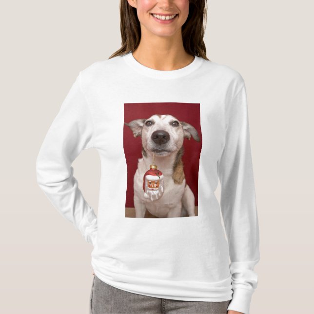 Jack Russell Terrier Holding Christmas Ornament T-Shirt (Front)