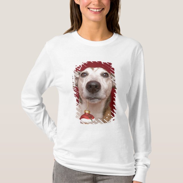 Jack Russell Terrier Holding Christmas Ornament T-Shirt (Front)