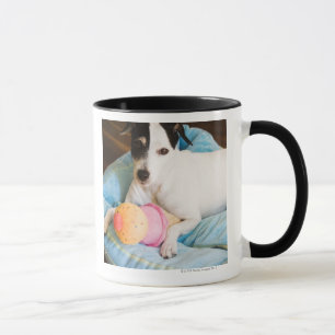 Jack russell terrier lying down mug