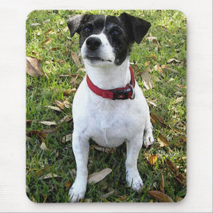 JACK RUSSELL TERRIER MOUSE PAD